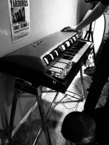 B&W Fender Contempo Organ